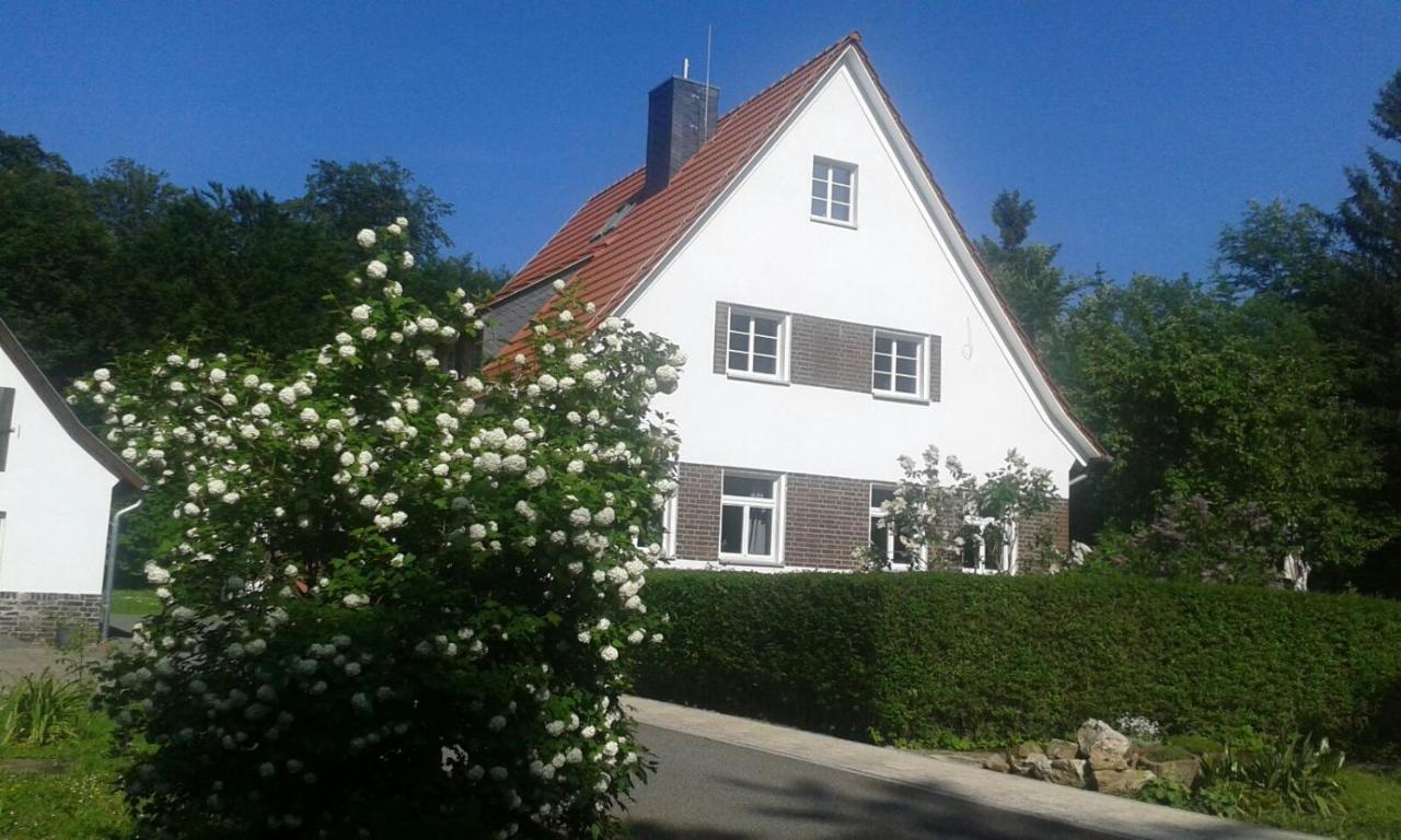Apartmán Forsthaus Wegenerskopf Thale Exteriér fotografie