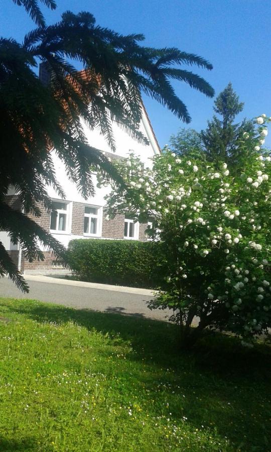Apartmán Forsthaus Wegenerskopf Thale Exteriér fotografie
